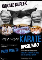 VPIS V KARATE 2018-2019